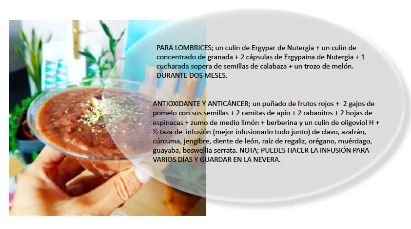 lombrices anticancer